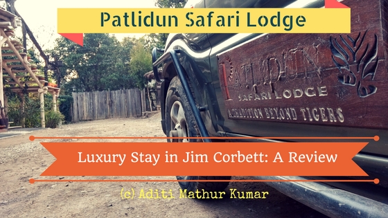 Patlidun Safari Lodge A Review Travel Blog India Jim Corbett